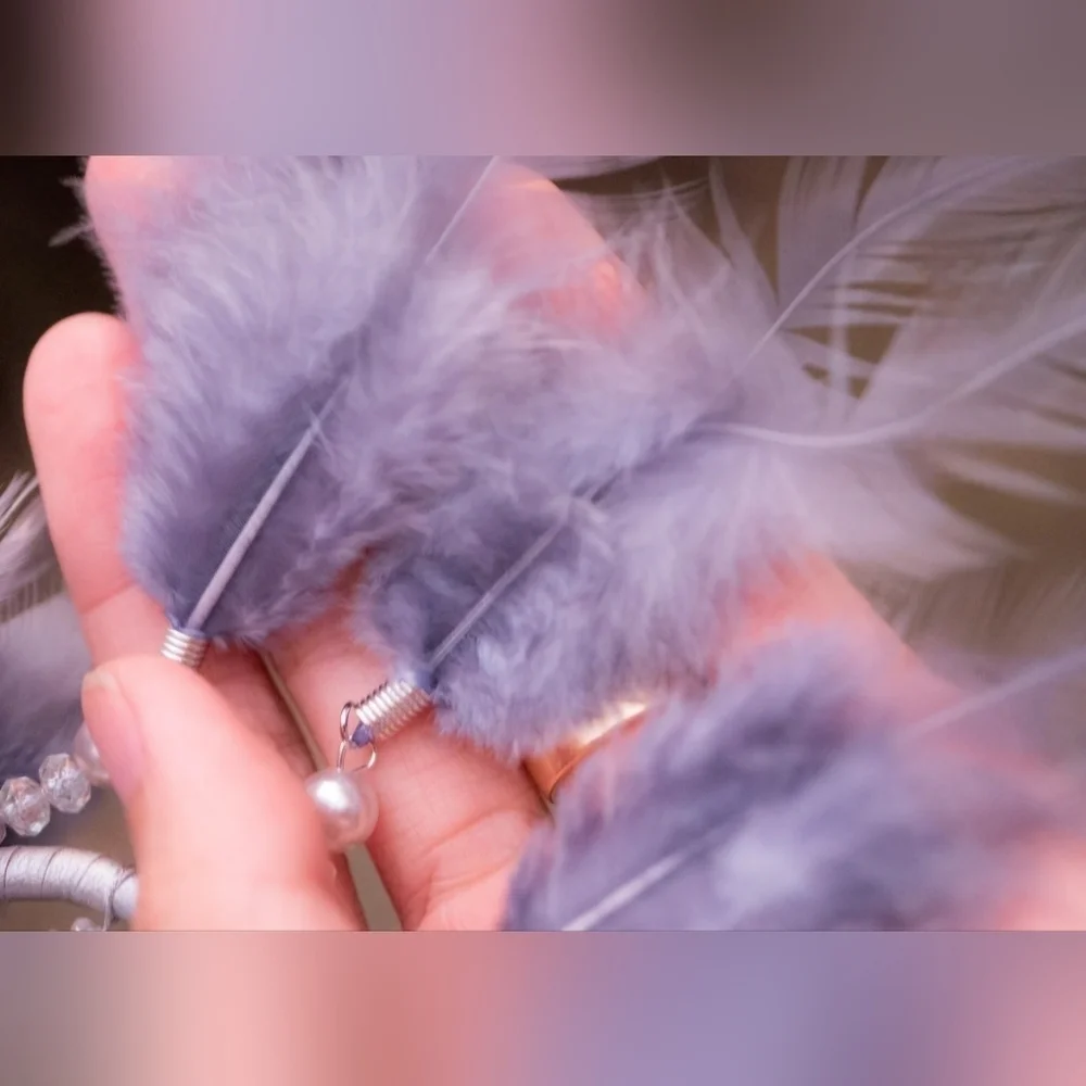NWOT | Silver Webbed Dreamcatcher With Purple Feathers & Clear Beads